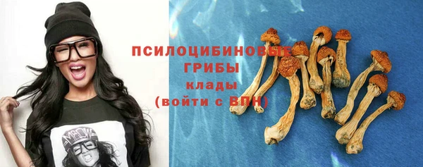 бошки Алексеевка