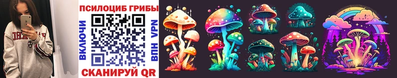 что такое   Апатиты  Псилоцибиновые грибы Cubensis 