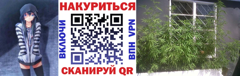 Бошки Шишки сатива Апатиты